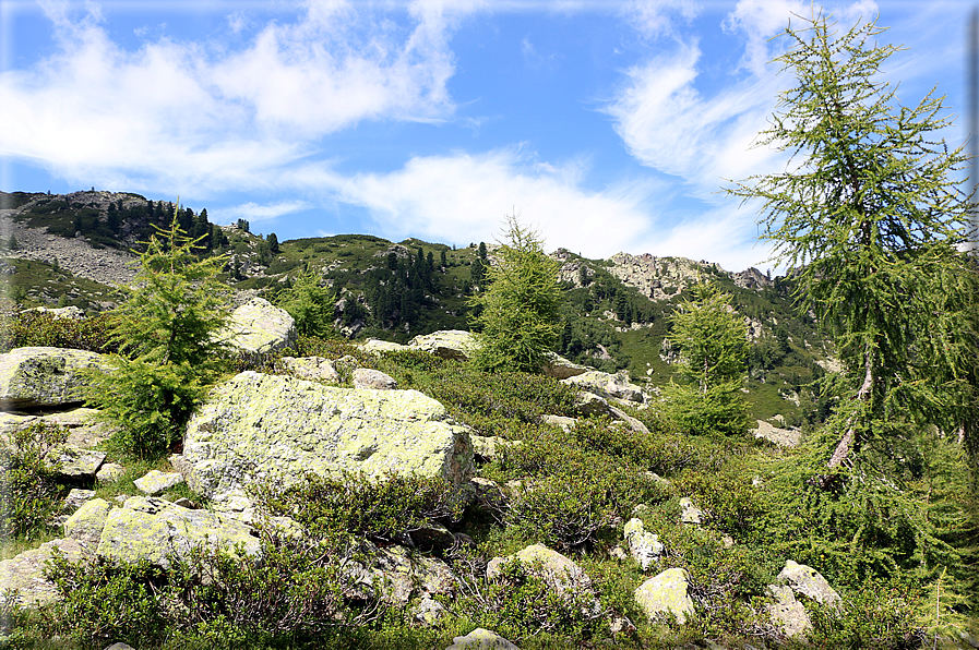 foto Forcella delle Tavarade